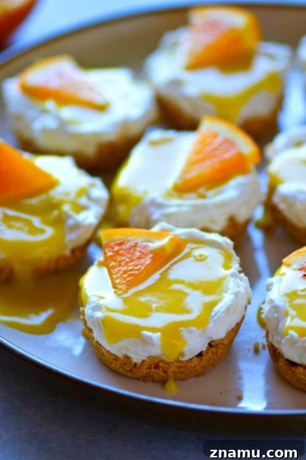Tangy Orange No-Bake Cheesecake Bites 4 These creamy orange curd mini cheesecakes are completely no-bake and can be prepped within minutes! A tangy homemade orange curd on top makes them irresistible.