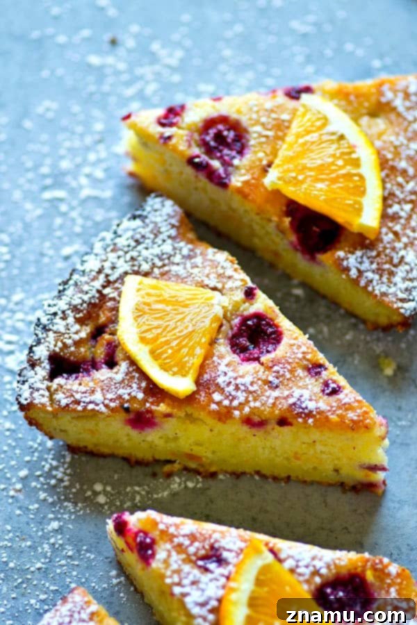 Orange Blossom Raspberry Ricotta Dream 2 A slice of incredibly moist Raspberry Orange Ricotta Cake, showing its dense texture and specks of fresh raspberries and orange zest. The cake is lightly dusted with powdered sugar.