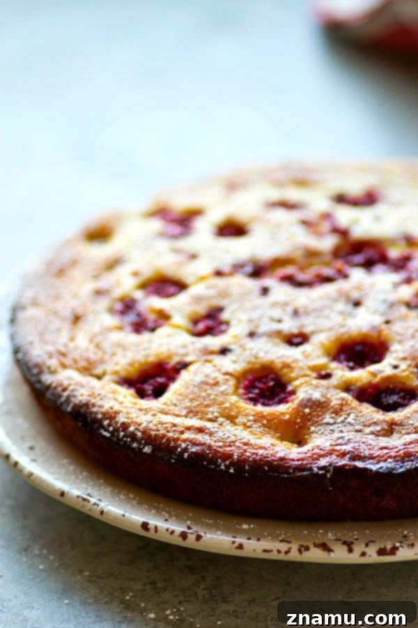 Orange Blossom Raspberry Ricotta Dream 3 Close-up of the Raspberry Orange Ricotta Cake batter, showing the vibrant orange zest and plump raspberries folded in, promising a burst of flavor.