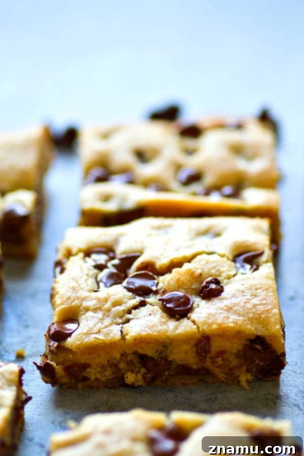 Gooey Coconut Oil Chocolate Chip Bars 5 Gooey chocolate chips visible in a tender coconut oil cookie bar, highlighting its irresistible soft and chewy texture.