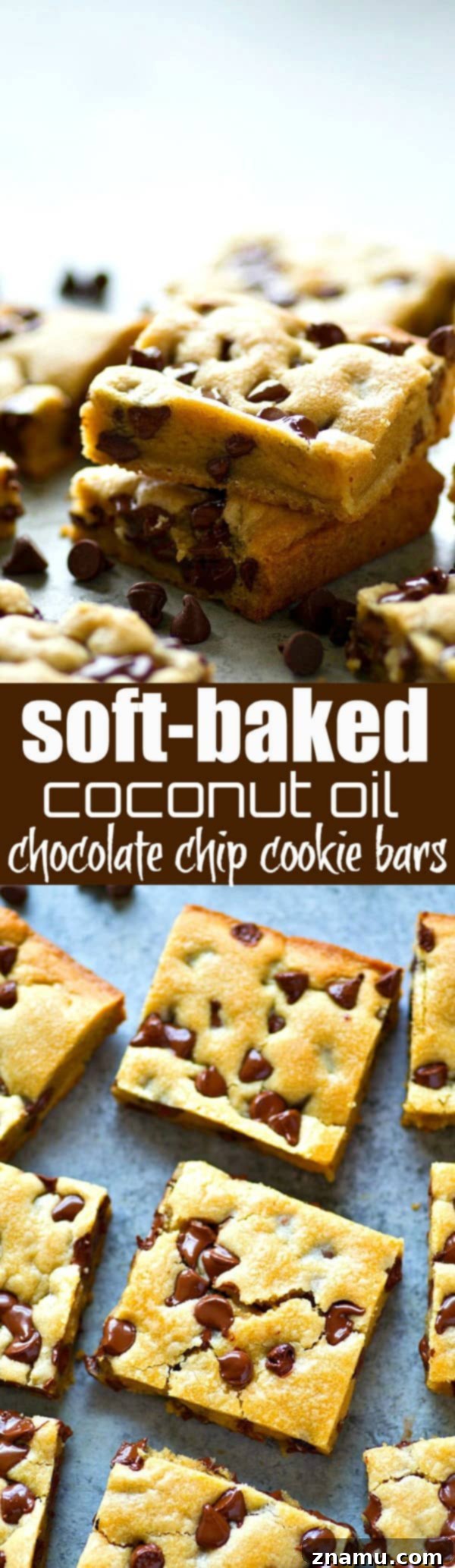 Gooey Coconut Oil Chocolate Chip Bars 6 A hand holding a delicious soft-baked coconut oil chocolate chip cookie bar, showcasing its rich texture and chocolate goodness.