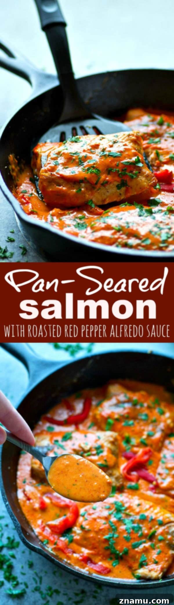 Vibrant Red Pepper Alfredo Salmon 6 Serving of Pan-Seared Salmon with Roasted Red Pepper Alfredo Sauce
