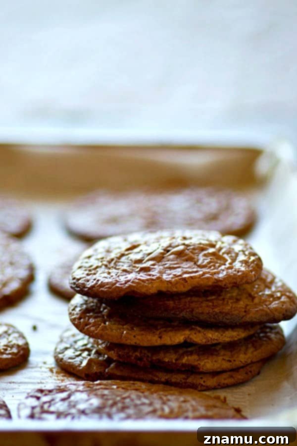 Fudgy Crinkle Brownie Cookies 2 A plate of freshly baked crackle-top brownie cookies, showcasing their distinct texture