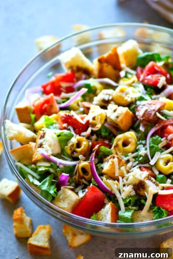 Honey Balsamic Tortellini Panzanella 3 Cheese-filled tortellini and toasty french bread cubes star in this INSANELY-loaded tortellini panzanella salad! Drizzle it all with a balsamic vinaigrette and you've just found your favorite salad.