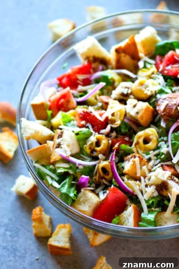 Honey Balsamic Tortellini Panzanella 4 Cheese-filled tortellini and toasty french bread cubes star in this INSANELY-loaded tortellini panzanella salad! Drizzle it all with a balsamic vinaigrette and you've just found your favorite salad.