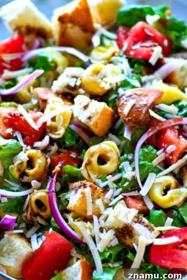 Honey Balsamic Tortellini Panzanella 5 Cheese-filled tortellini and toasty french bread cubes star in this INSANELY-loaded tortellini panzanella salad! Drizzle it all with a balsamic vinaigrette and you've just found your favorite salad.