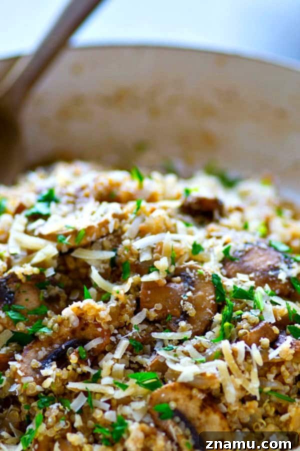Close-up of a serving spoon scooping a portion of the Balsamic Mushroom Parmesan Quinoa Skillet, highlighting the fluffy quinoa grains and tender mushrooms.