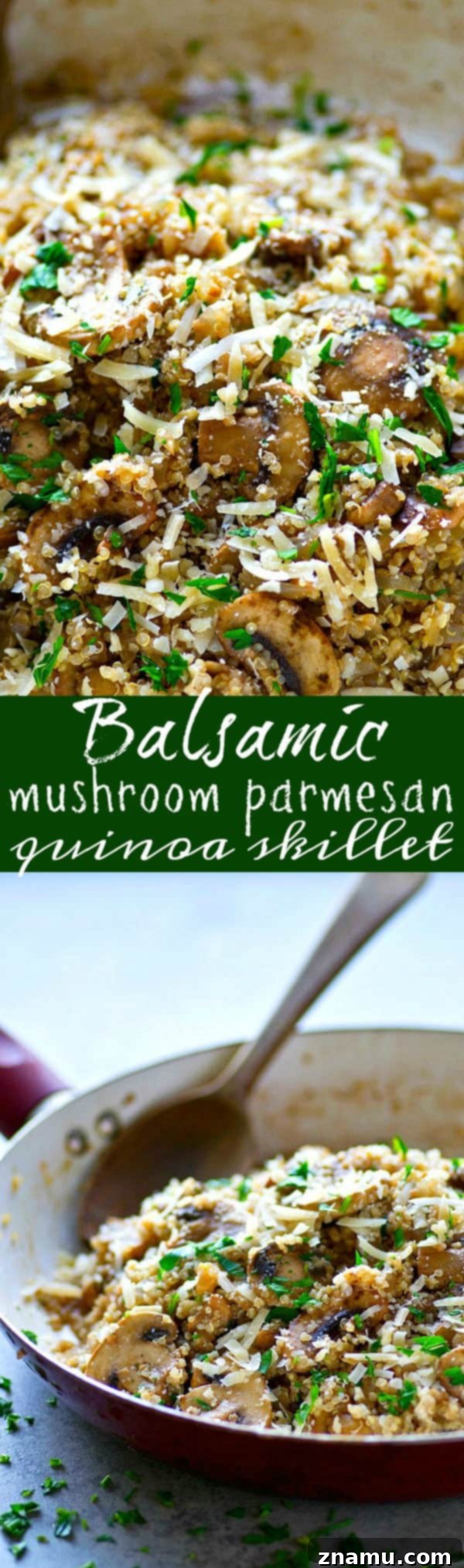 A close-up side view of the Balsamic Mushroom Parmesan Quinoa Skillet, showing the texture of the quinoa and the glistening balsamic coating on the mushrooms.