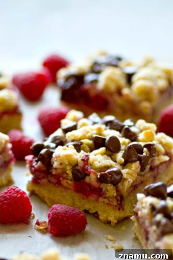 Decadent Dark Chocolate Raspberry Oat Bars 2 Close-up of baked dark chocolate raspberry oatmeal crumb bars, showcasing the vibrant raspberry filling and melted chocolate chunks.