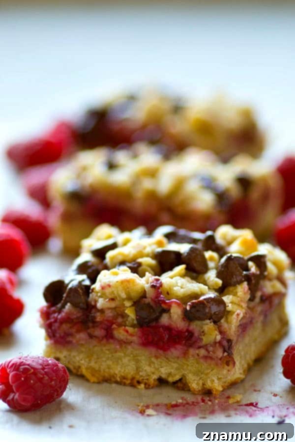 Decadent Dark Chocolate Raspberry Oat Bars 3 Ingredients laid out for making dark chocolate raspberry oatmeal crumb bars, including oats, flour, sugar, butter, fresh raspberries, and dark chocolate chips.