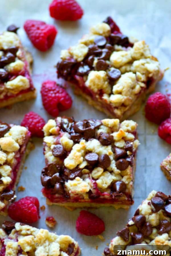 Decadent Dark Chocolate Raspberry Oat Bars 4 A freshly baked pan of dark chocolate raspberry oatmeal crumb bars, golden brown and bubbly, cooling on a wire rack.