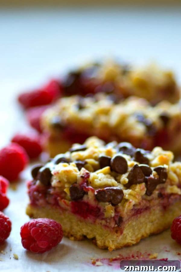 Decadent Dark Chocolate Raspberry Oat Bars 5 Dark chocolate raspberry oatmeal crumb bars cut into perfect squares on a cooling rack, some with melted chocolate visible and crumbly tops.