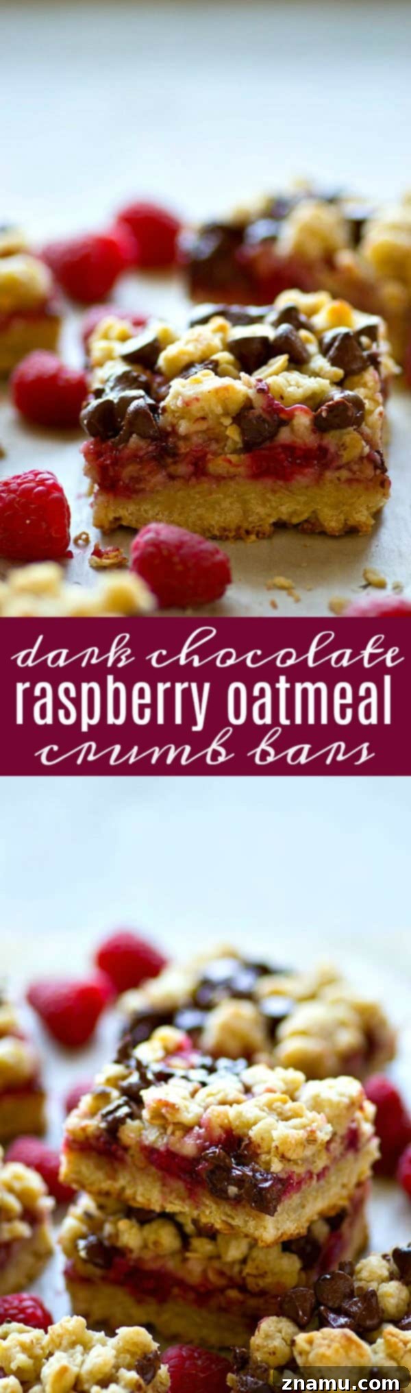 Decadent Dark Chocolate Raspberry Oat Bars 6 A single dark chocolate raspberry oatmeal crumb bar, shown close-up, highlighting the distinct layers of oatmeal crust, raspberry filling, and chocolate streusel.