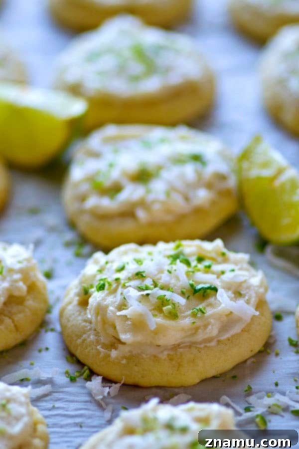 Sunshine Lime Coconut Clouds 5 Soft lime-flavored sugar cookies are a match made in heaven with a dreamy coconut frosting heaped on top! These lime sugar cookies will be a hit anywhere you take them.