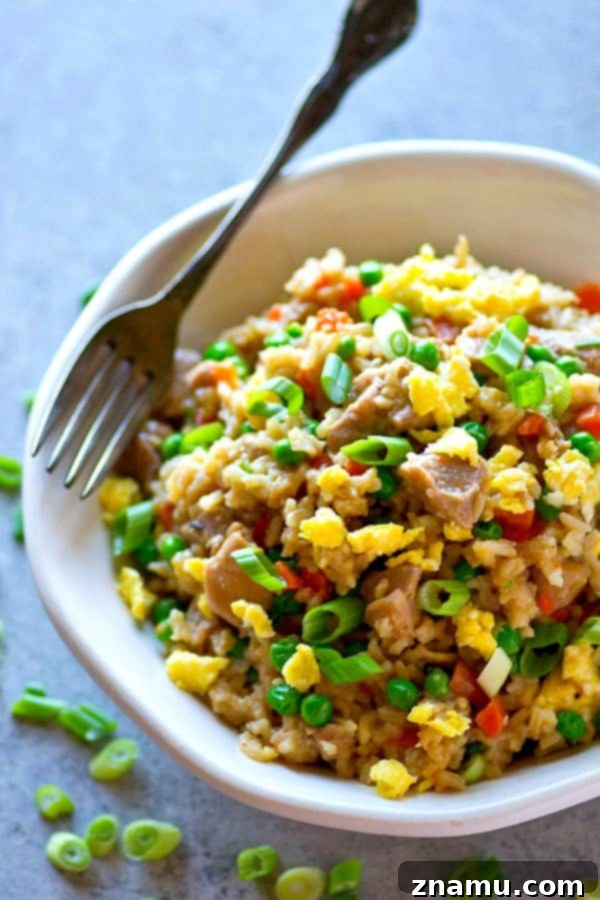 Your Go-To 20-Minute Instant Pot Chicken Fried Rice 3 Close-up of fluffy Instant Pot Chicken Fried Rice with tender chicken, vegetables, and scrambled egg