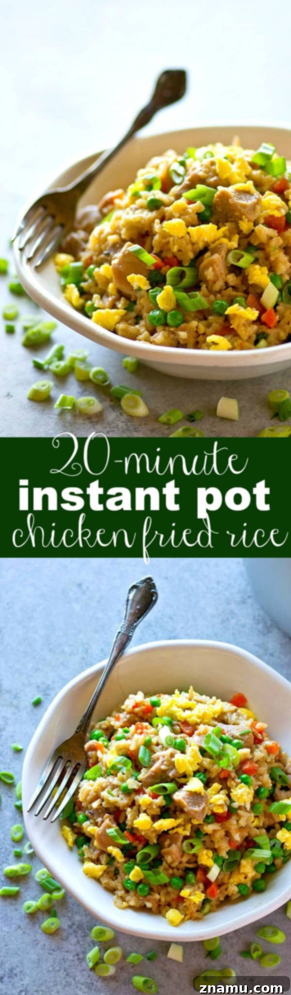 Your Go-To 20-Minute Instant Pot Chicken Fried Rice 6 Close-up of Instant Pot Chicken Fried Rice in a serving dish, ready to eat