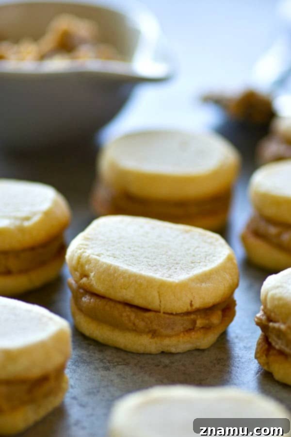 Vanilla Wafer Caramel Delights 3 Several vanilla wafer caramel sandwich cookies artfully arranged on a white plate, highlighting their perfect golden hue