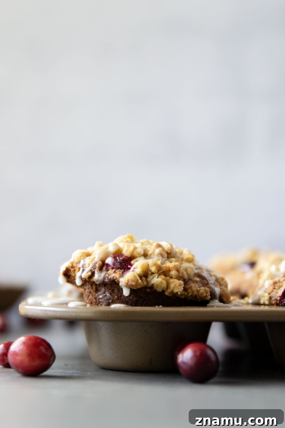 Wholesome Cranberry Oat Muffins 3 A batch of golden-brown cranberry oatmeal muffins cooling on a wire rack, showcasing their perfect domed tops and inviting streusel.