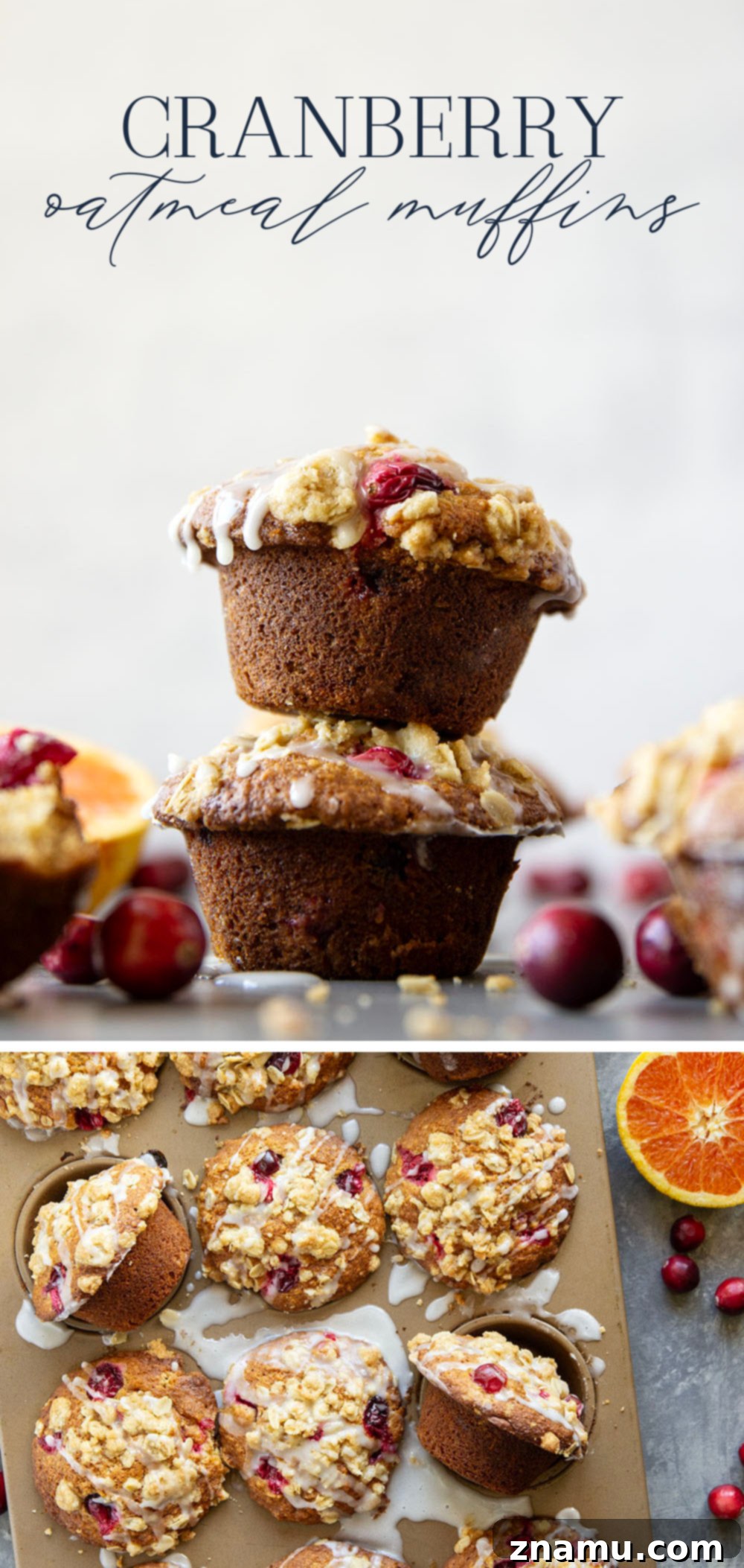 Wholesome Cranberry Oat Muffins 7 A delightful platter of cranberry oatmeal muffins, beautifully arranged and ready to be served at a holiday gathering.