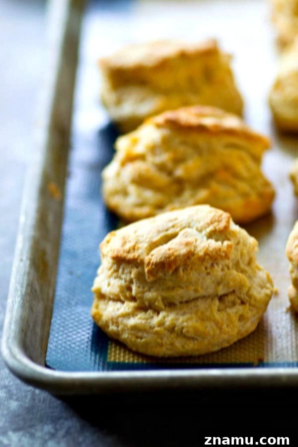 Homemade Sourdough Biscuits with Luscious Peach Preserves 4 Flaky, insanely-flavorful sourdough biscuits are a match made in heaven with juicy fresh peach preserves! Summer in a biscuit.