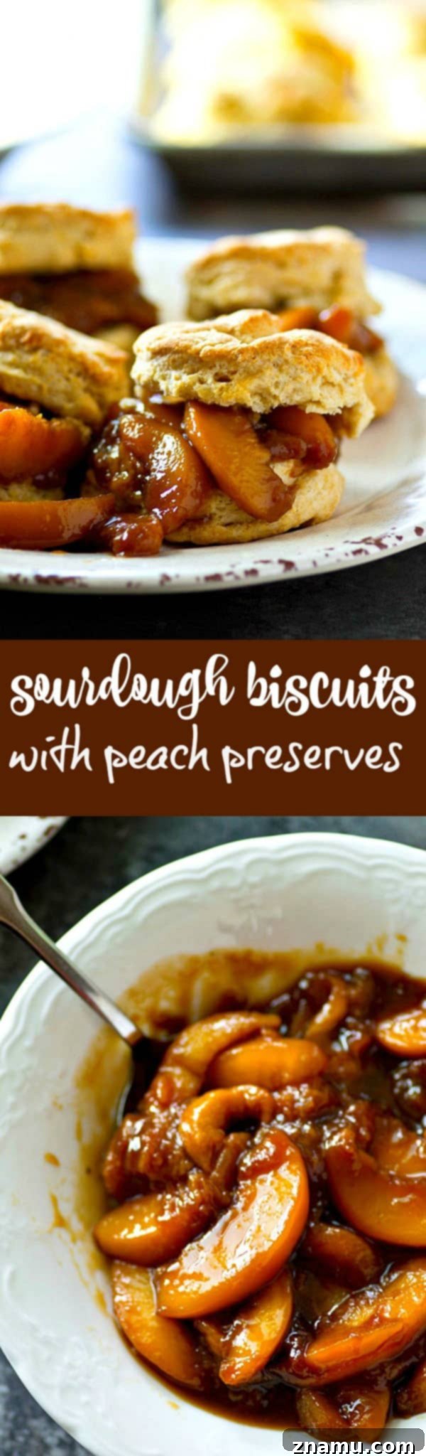Homemade Sourdough Biscuits with Luscious Peach Preserves 6 Flaky, insanely-flavorful sourdough biscuits are a match made in heaven with juicy fresh peach preserves! Summer in a biscuit.