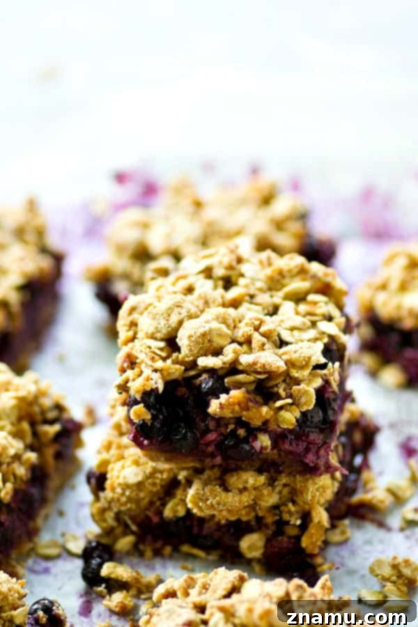 Blueberry & Oat Streusel Squares 2 A juicy blueberry filling and oatmeal cookie-like streusel topping makes these blueberry oatmeal cookie streusel pie bars a perfect no-fuss summer dessert, snack, or even breakfast!