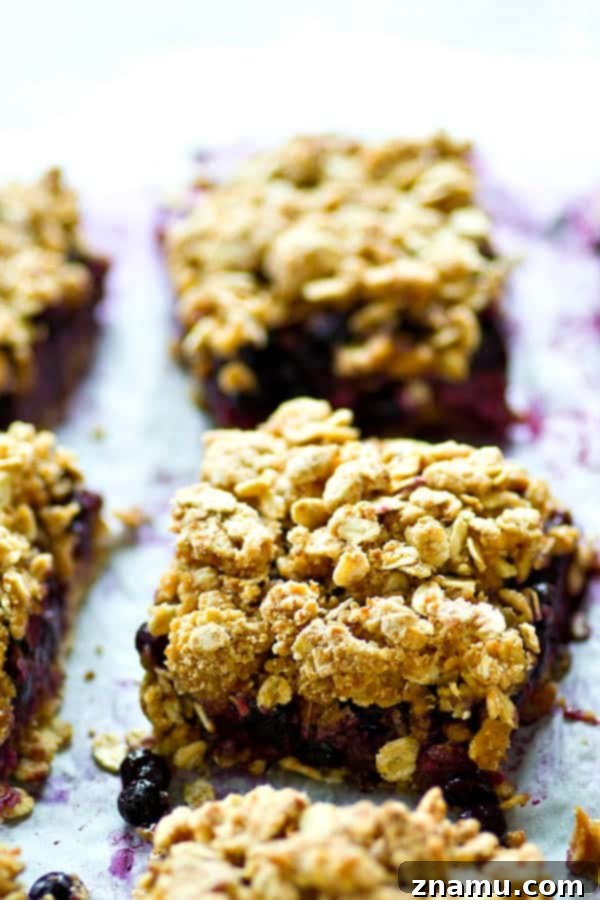 Blueberry & Oat Streusel Squares 3 A juicy blueberry filling and oatmeal cookie-like streusel topping makes these blueberry oatmeal cookie streusel pie bars a perfect no-fuss summer dessert, snack, or even breakfast!