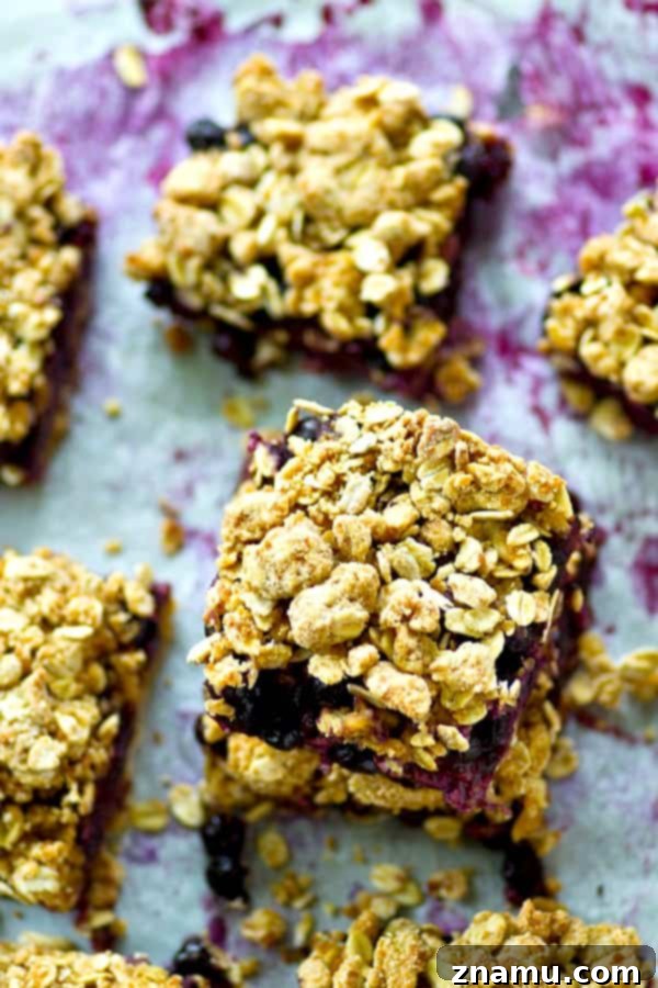 Blueberry & Oat Streusel Squares 4 A juicy blueberry filling and oatmeal cookie-like streusel topping makes these blueberry oatmeal cookie streusel pie bars a perfect no-fuss summer dessert, snack, or even breakfast!