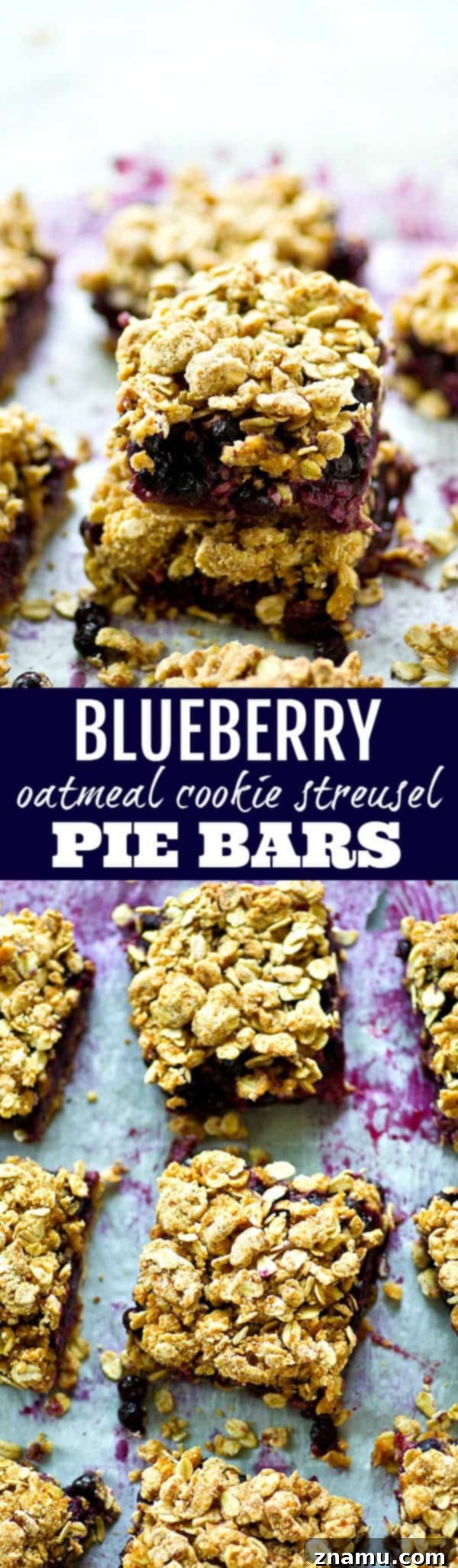 Blueberry & Oat Streusel Squares 6 A juicy blueberry filling and oatmeal cookie-like streusel topping makes these blueberry oatmeal cookie streusel pie bars a perfect no-fuss summer dessert, snack, or even breakfast!