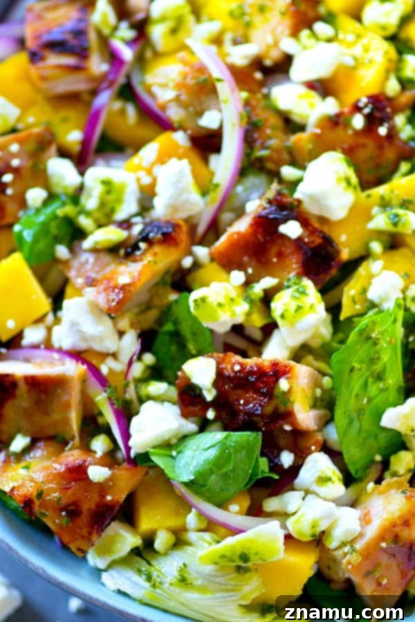 Honey-Garlic Grilled Chicken with Tropical Mango Salad and Zesty Cilantro Dressing 3 Sweet 'n' sticky grilled honey garlic chicken is a perfect match with sweet mango and flavorful cilantro dressing in this gorgeous grilled chicken mango salad!