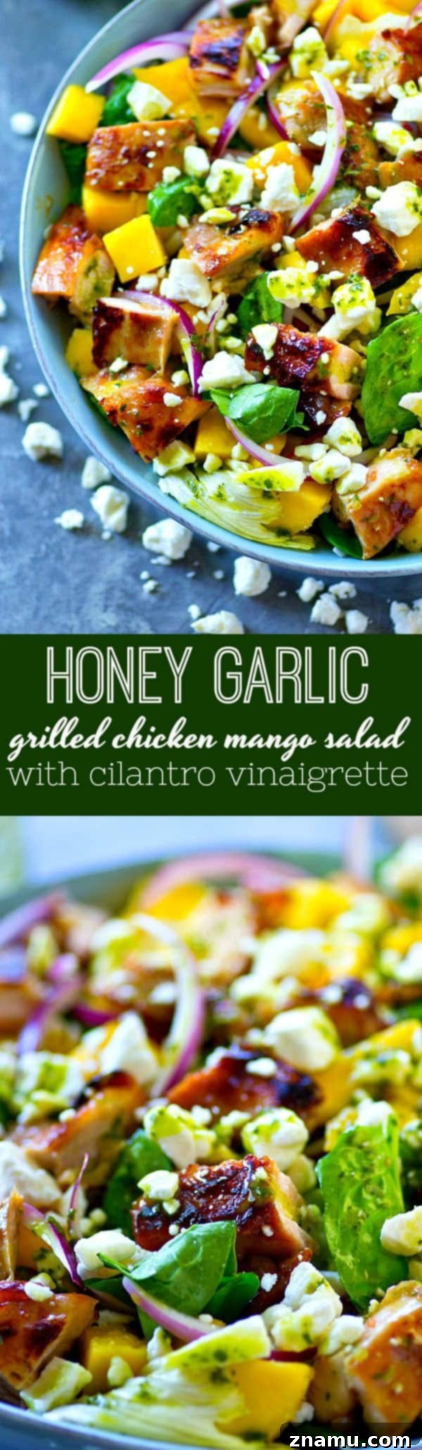 Honey-Garlic Grilled Chicken with Tropical Mango Salad and Zesty Cilantro Dressing 6 Sweet 'n' sticky grilled honey garlic chicken is a perfect match with sweet mango and flavorful cilantro dressing in this gorgeous grilled chicken mango salad!