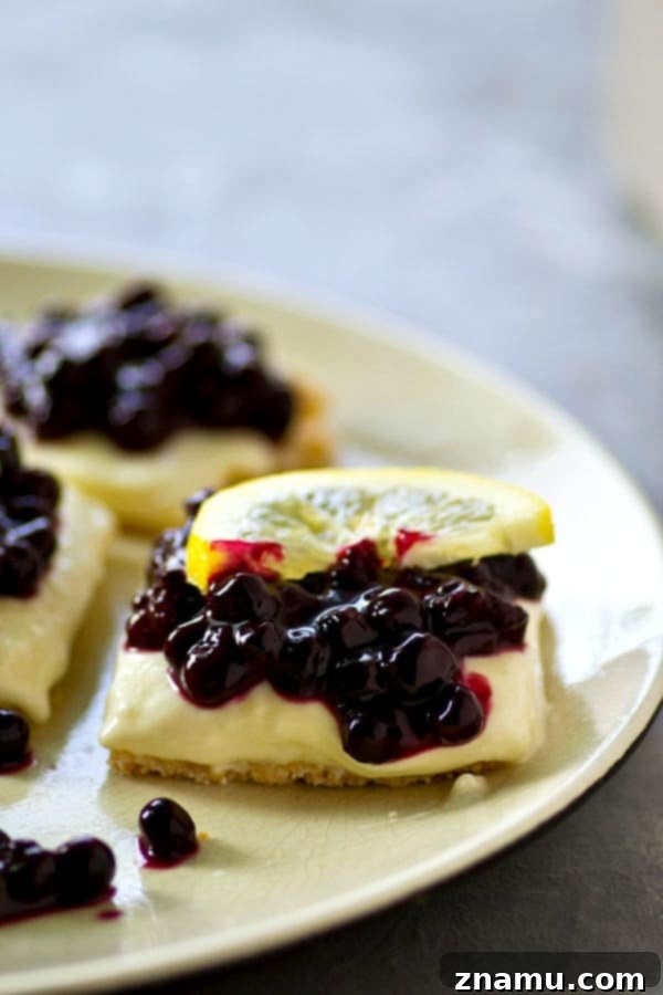 Refreshing No-Bake Blueberry Lemon Cheesecake Bars 2 Delicious no-bake blueberry lemon cheesecake bars with a golden graham cracker crust, creamy lemon filling, and sweet blueberry topping, perfectly chilled and ready to serve.