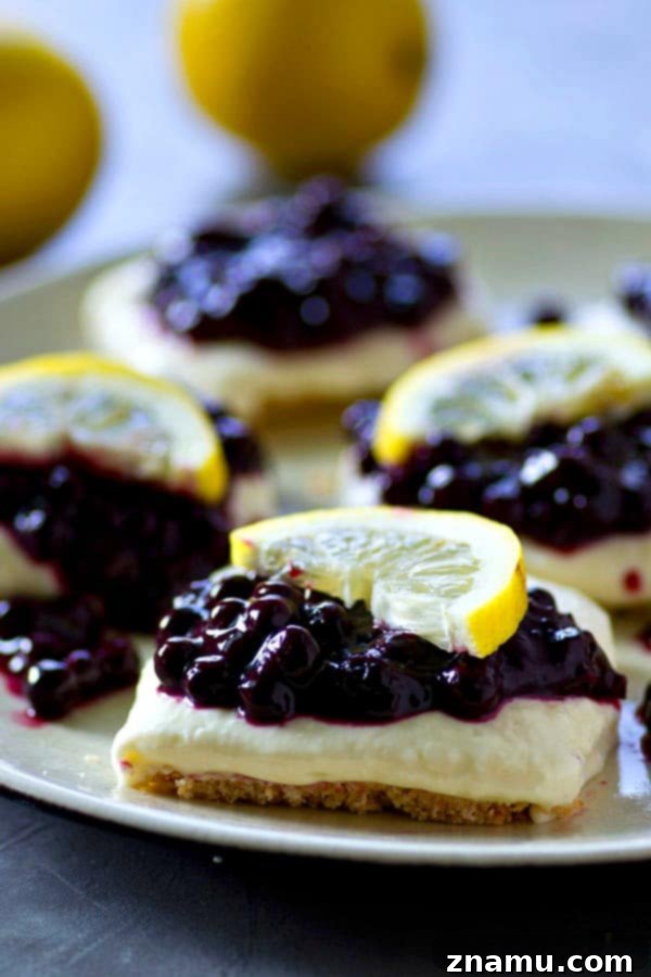 Refreshing No-Bake Blueberry Lemon Cheesecake Bars 5 A top-down view of a tray of freshly made no-bake blueberry lemon cheesecake bars, ready to be sliced and served.