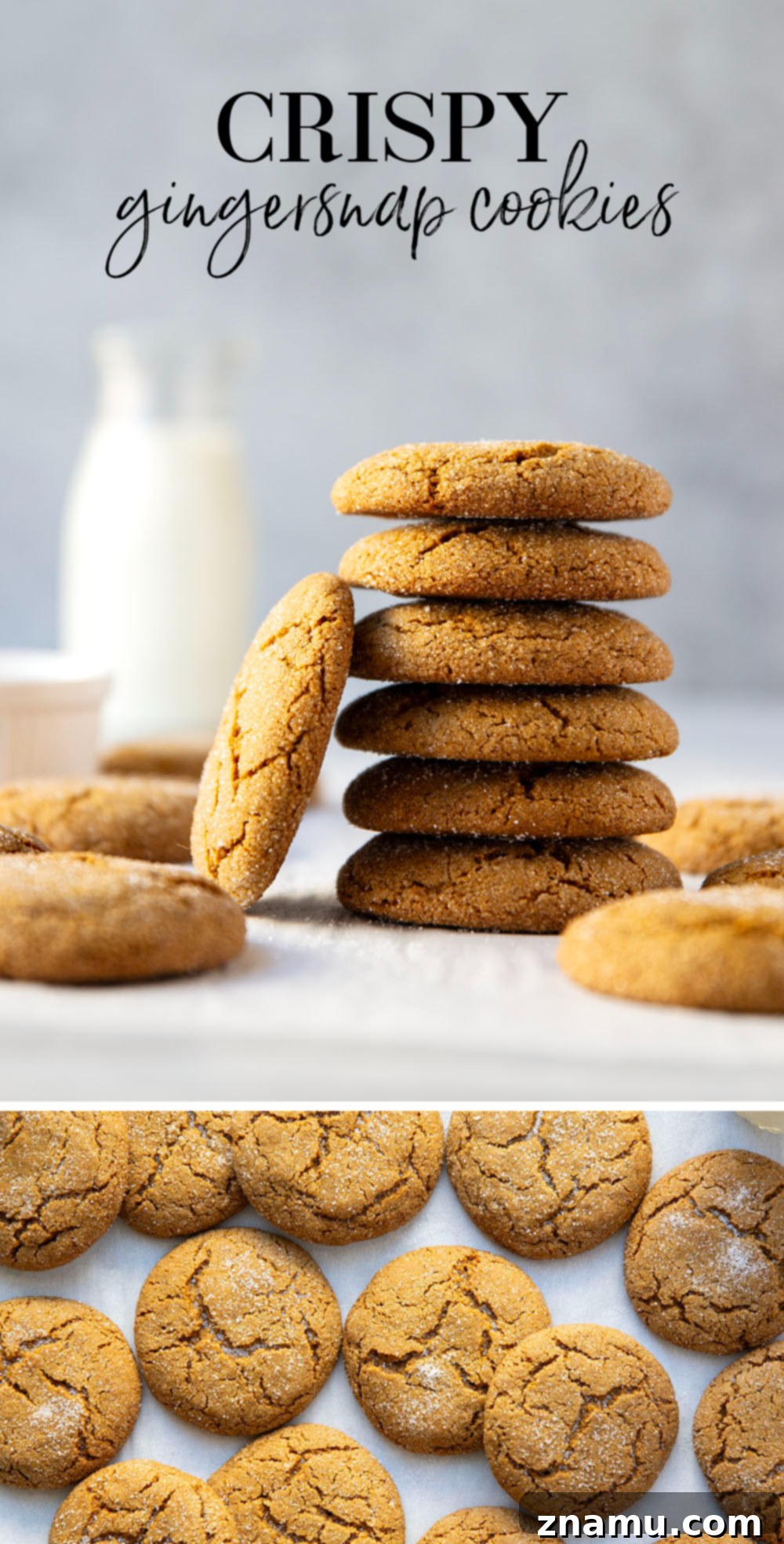 Zingy Gingersnap Crunch 7 A festive display of crispy gingersnap cookies with holiday decorations