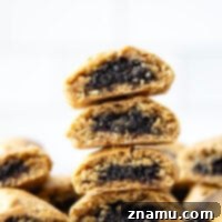 Soft Blueberry Fruit Bars 8 Delicious homemade Blueberry Newtons.