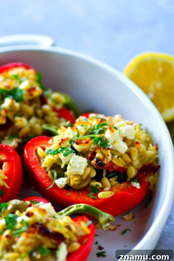 Vibrant Sweet Peppers Stuffed with Savory Greek Orzo 2 Colorful bell peppers filled with Greek orzo, ready for baking.