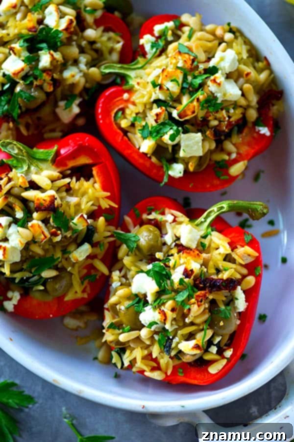 Vibrant Sweet Peppers Stuffed with Savory Greek Orzo 3 Close-up of baked Greek orzo stuffed sweet peppers, showing the rich filling.