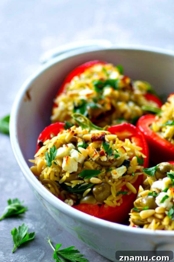 Vibrant Sweet Peppers Stuffed with Savory Greek Orzo 4 A serving of Greek orzo stuffed sweet peppers on a plate.