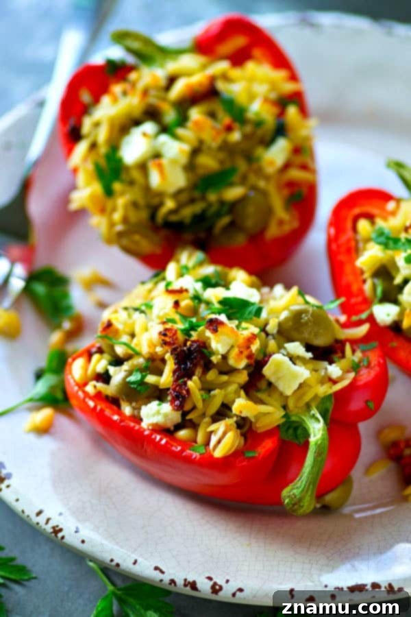 Vibrant Sweet Peppers Stuffed with Savory Greek Orzo 5 Another view of the Greek orzo stuffed sweet peppers, showcasing the vibrant colors.