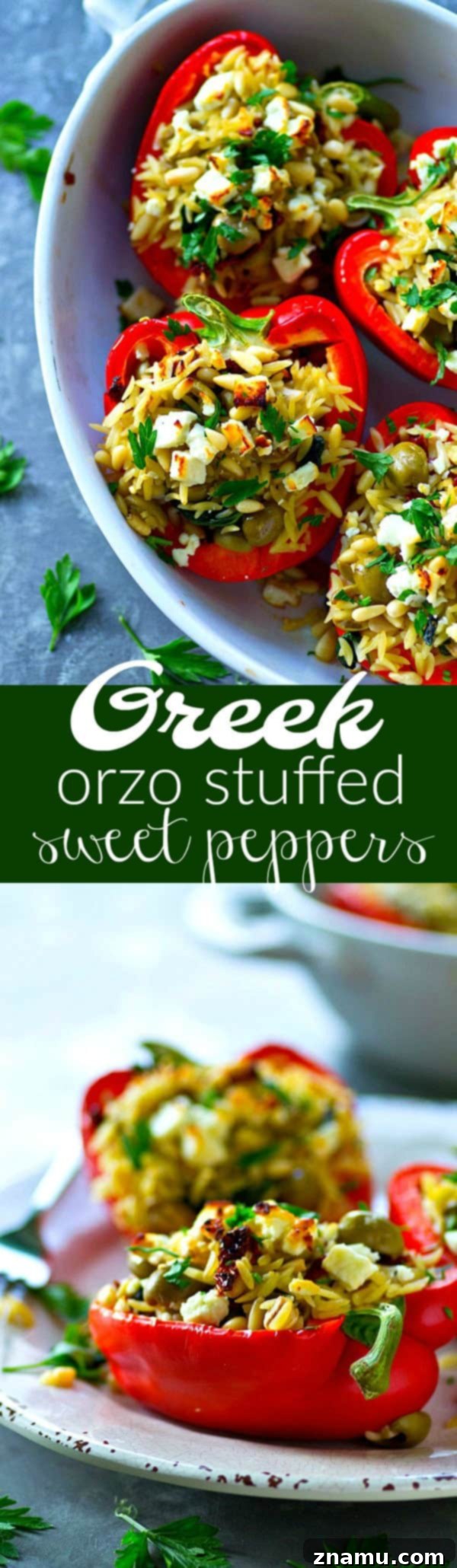 Vibrant Sweet Peppers Stuffed with Savory Greek Orzo 6 Finished Greek orzo stuffed sweet peppers, garnished and ready to eat.