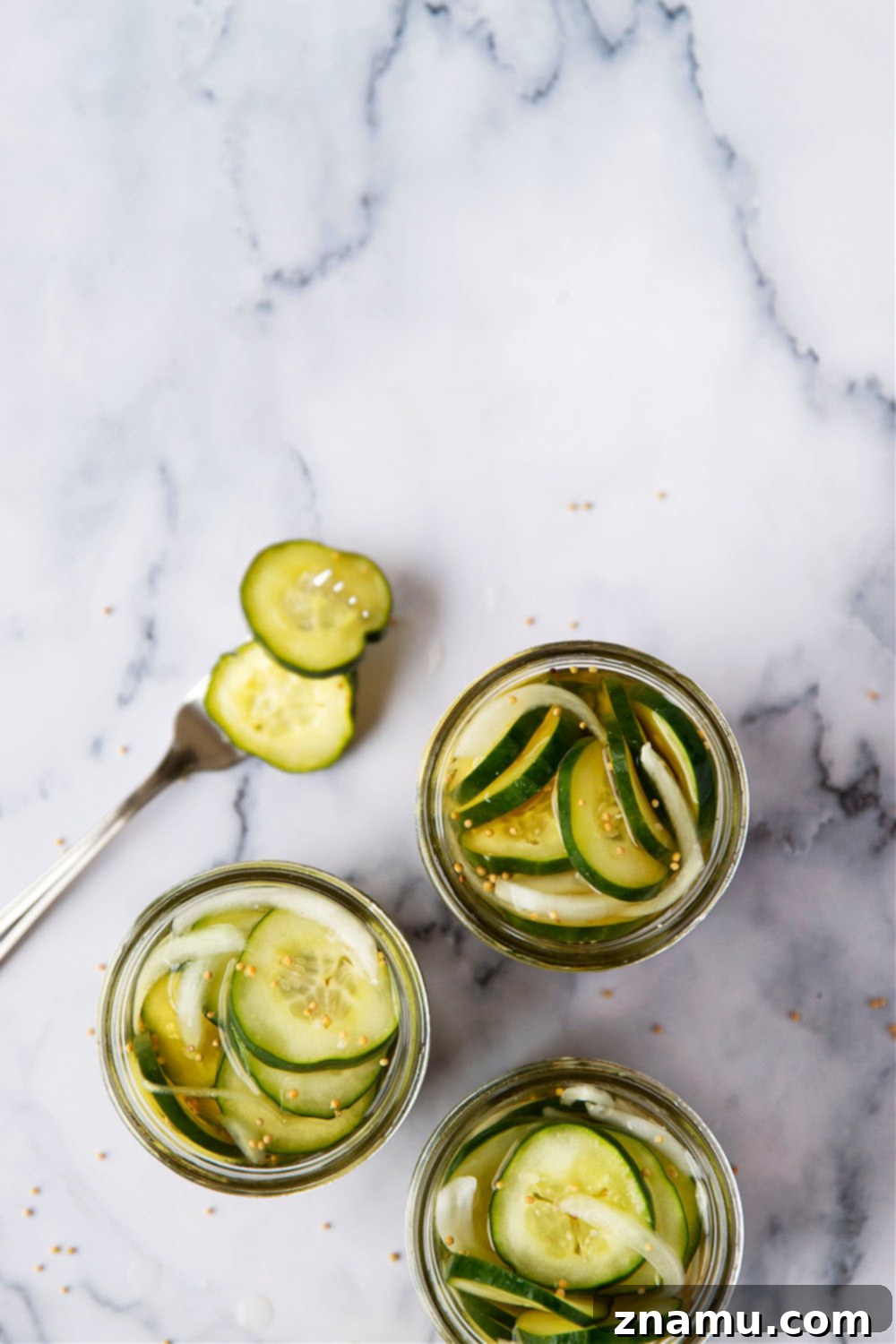 No-Canning Overnight Bread and Butter Pickles 3 A jar of freshly made refrigerator bread and butter pickles, highlighting their vibrant color and irresistible texture.