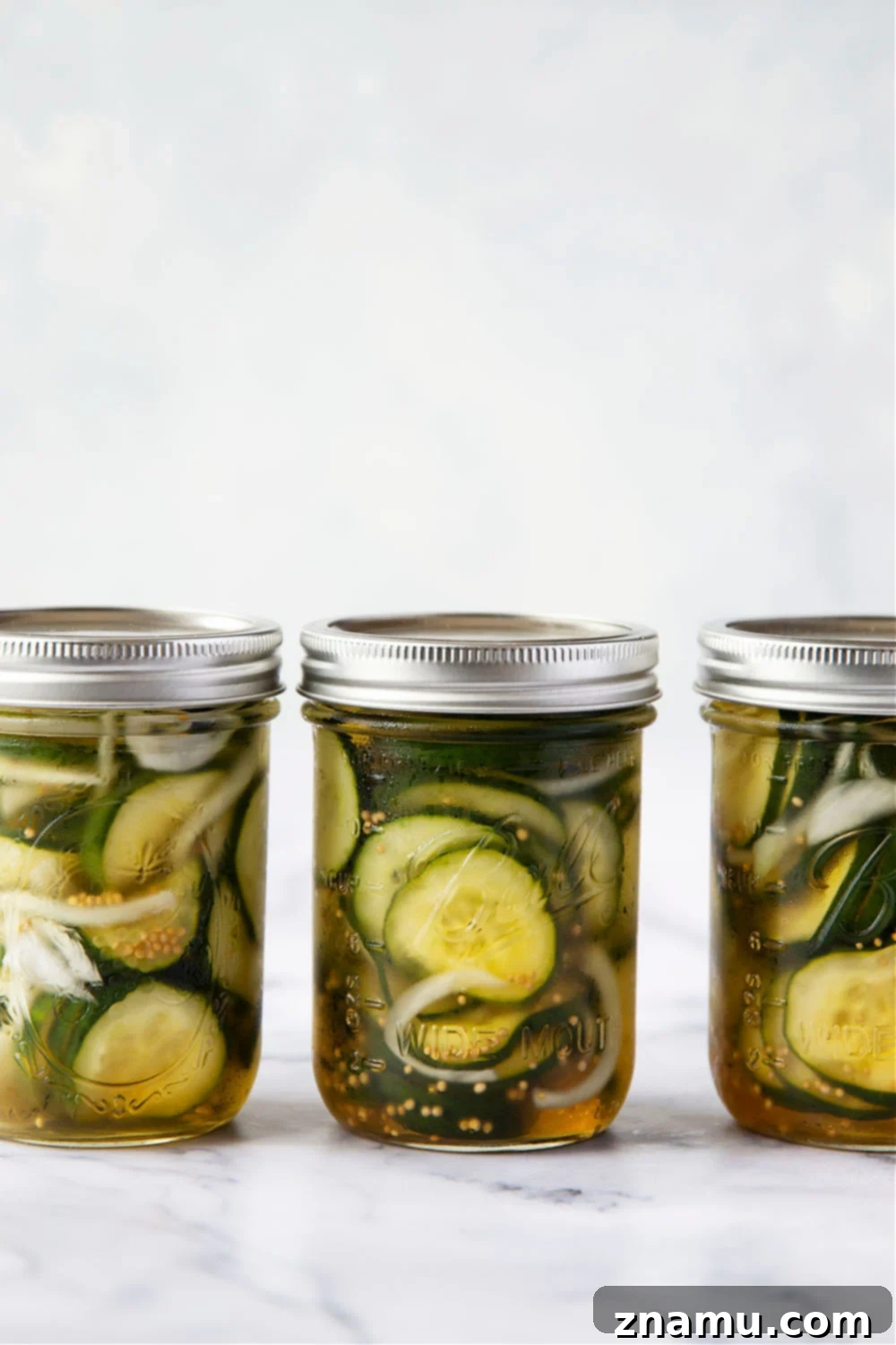 No-Canning Overnight Bread and Butter Pickles 4 Close-up of a serving of crisp refrigerator bread and butter pickles, showcasing their thin slices and inviting brine.