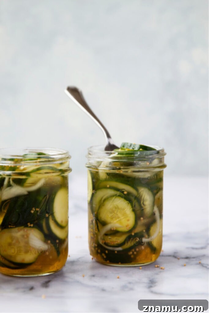 No-Canning Overnight Bread and Butter Pickles 6 A hand reaching into a jar to grab a perfectly crisp refrigerator bread and butter pickle.