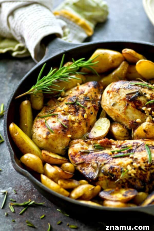 A close-up of fragrant rosemary garlic olive oil marinated chicken and roasted fingerling potatoes, cooked in one pot.