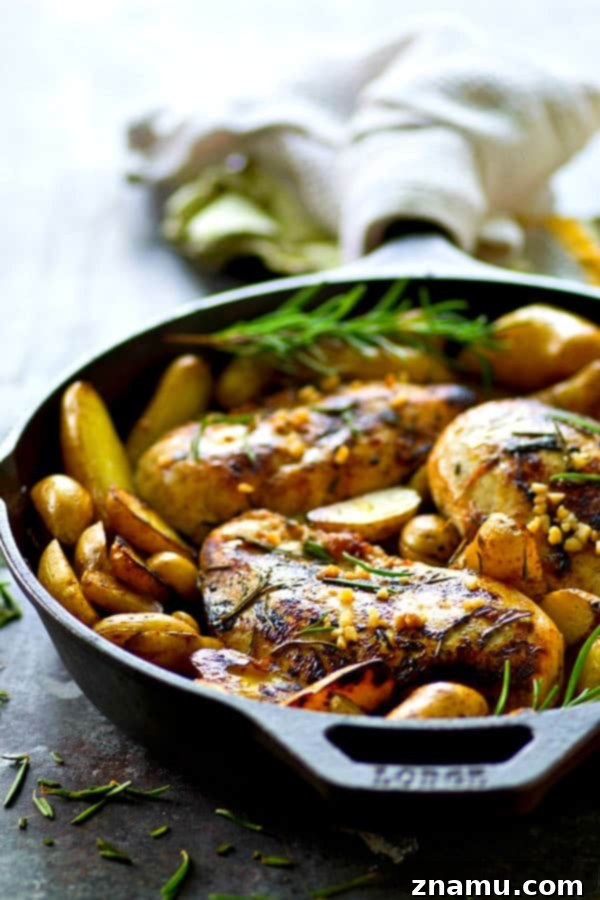 A serving of roasted rosemary garlic chicken with fingerling potatoes on a plate, showcasing the incredible flavor and one-pot convenience.