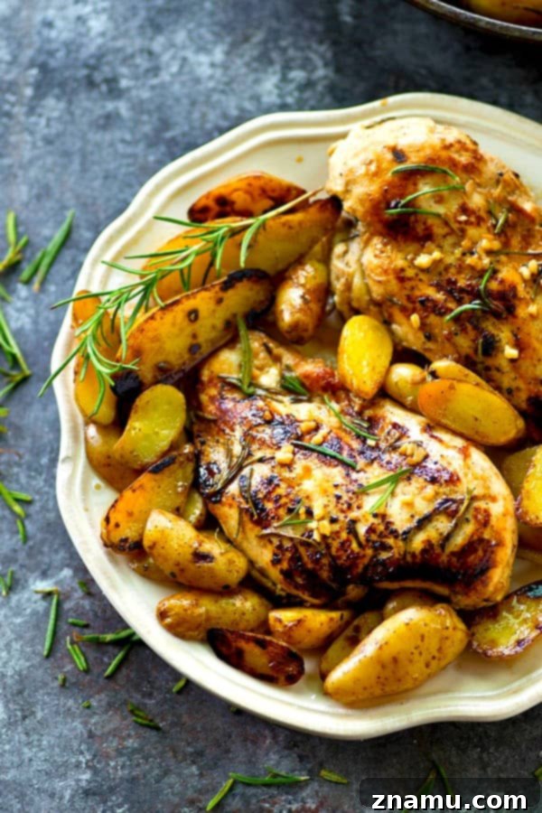 A freshly roasted one-pot meal of rosemary garlic chicken and fingerling potatoes, garnished with fresh herbs, ready to be served.