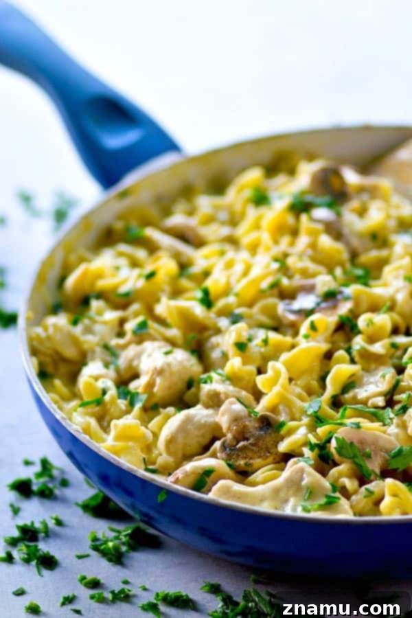 Close-up of One-Pot Lighter Chicken Stroganoff with egg noodles and creamy sauce