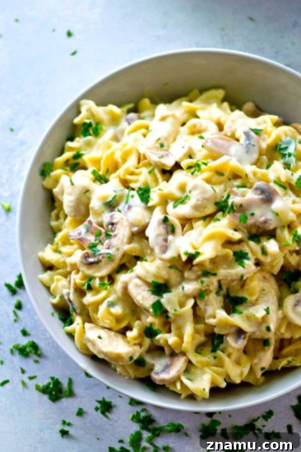 One-Pot Lighter Chicken Stroganoff simmering in a pot