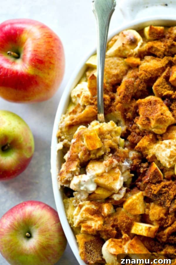 Spiced Apple Cheesecake Bread Pudding 2 Delicious Apple Cheesecake Bread Pudding with creamy swirls and soft apples, perfect for fall.