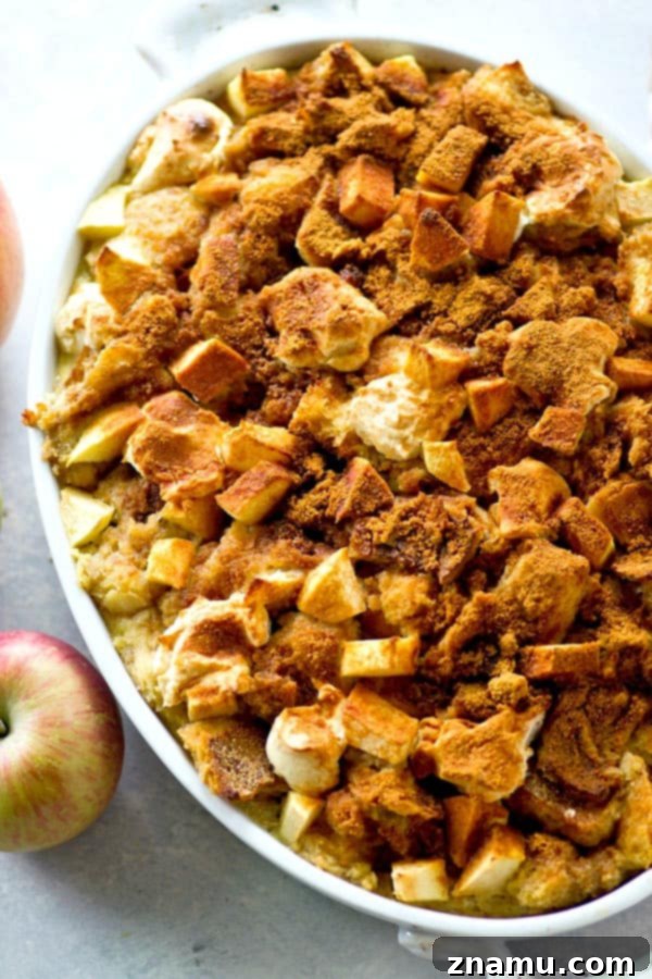 Spiced Apple Cheesecake Bread Pudding 3 Close-up of baked Apple Cheesecake Bread Pudding, showing golden crust and soft interior.
